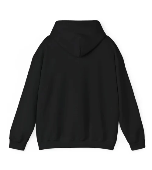 Justin Bieber Swag Hoodie #2